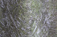 Llandefaelog Trer Graig fibreglass roof work